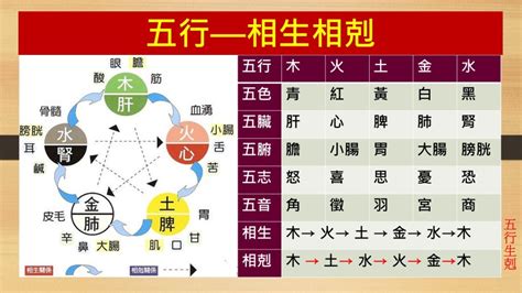 土剋什麼|簡單明了，圖解五行相生相剋